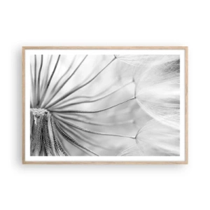 Pôster com moldura de carvalho claro - Dentes de leão, pipas - 100x70 cm