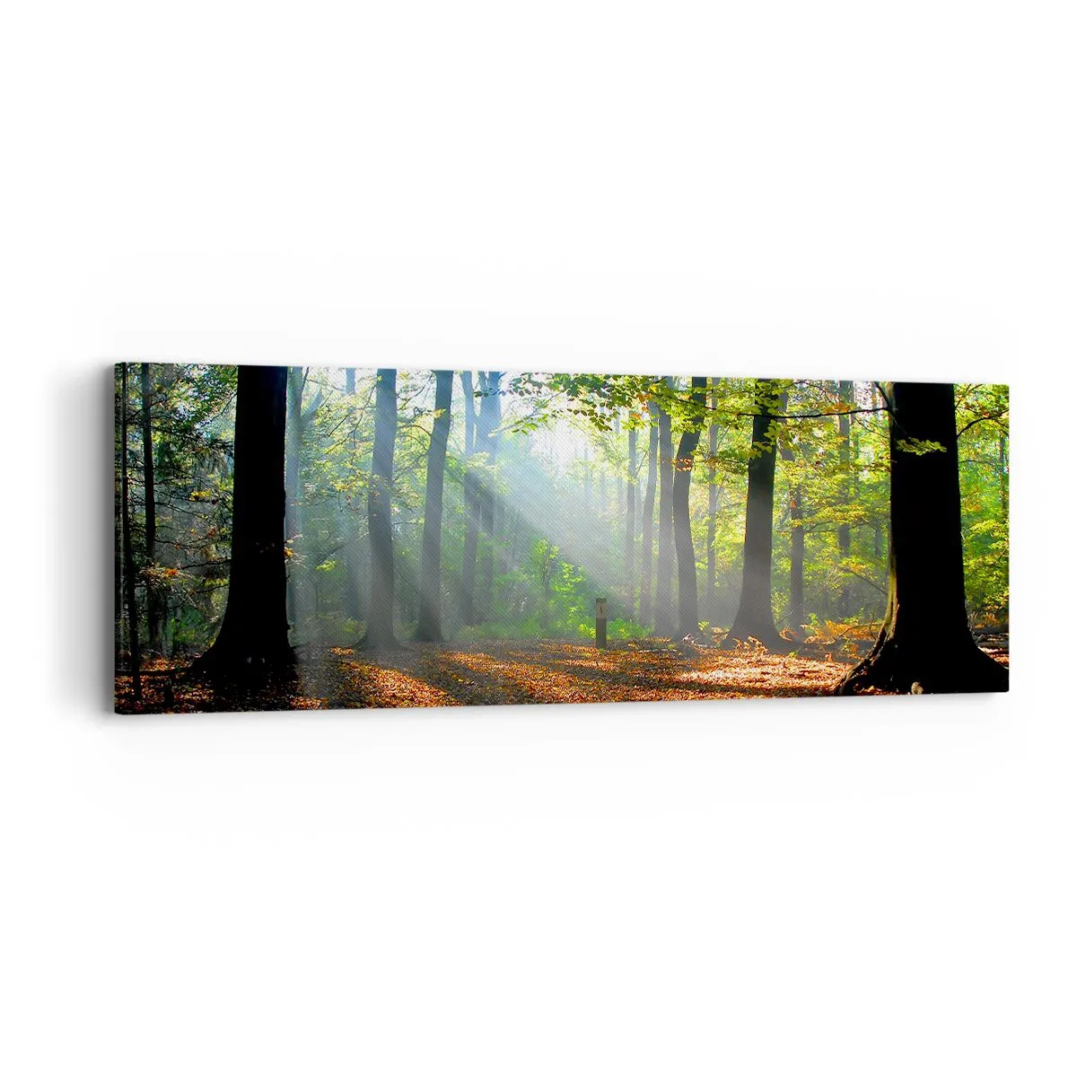 Quadro em tela - Luzes e sombras - 90x30 cm