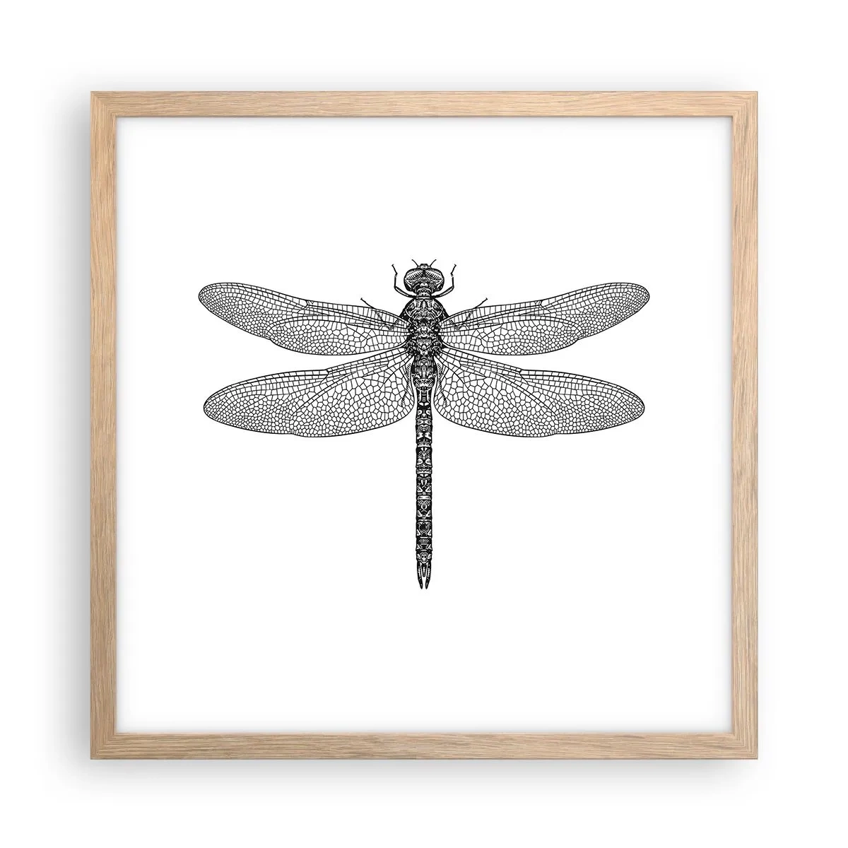 Pôster com moldura de carvalho claro - Precisão da natureza - 40x40 cm