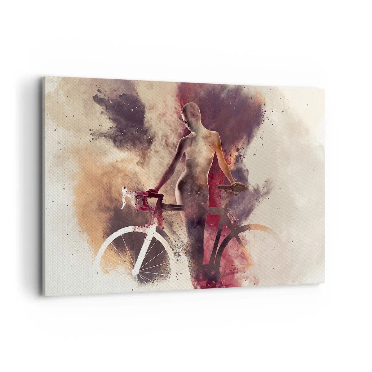 Quadro em tela - Uma alma de bicicleta em formas de mármore - 100x70 cm