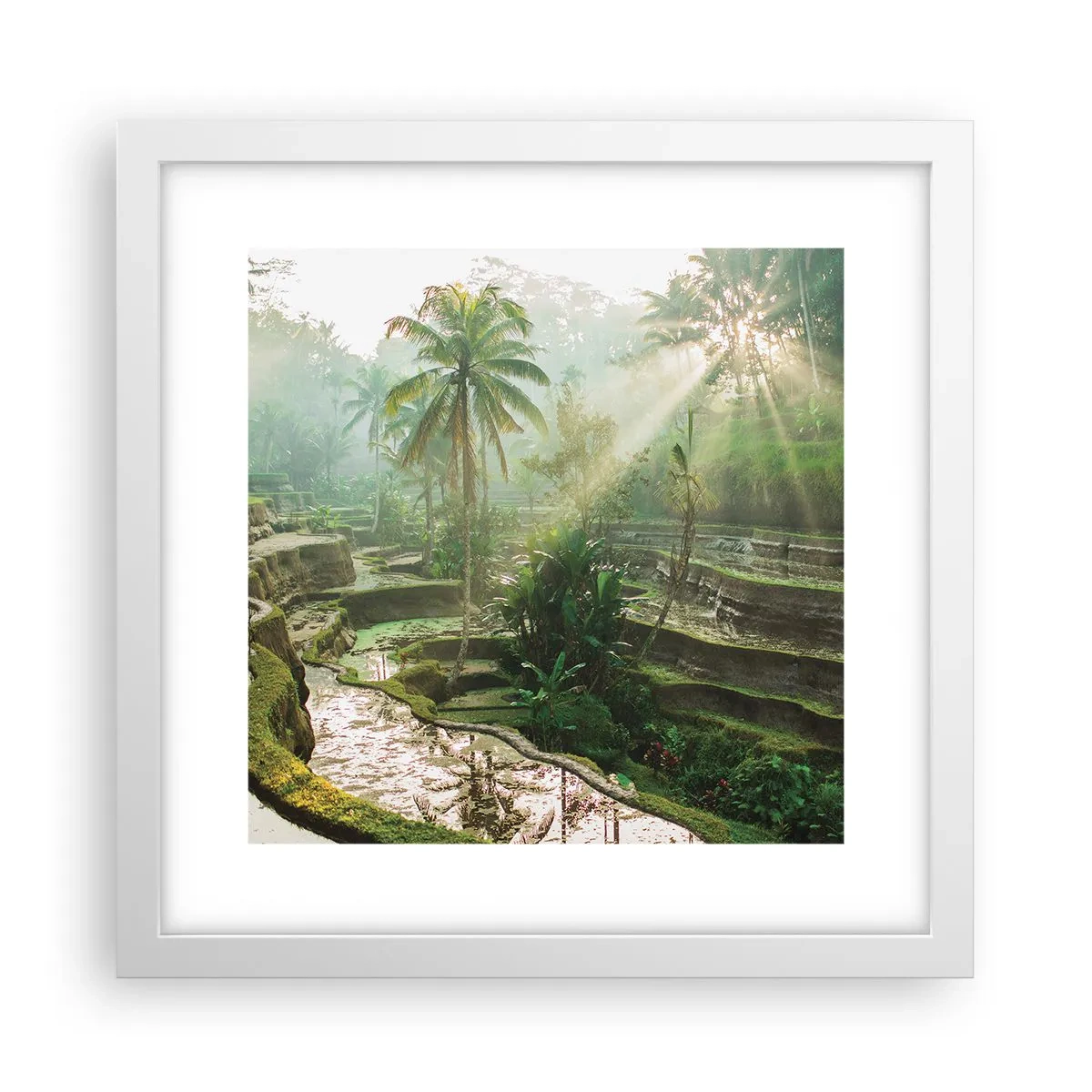 Pôster em moldura branca - Crescer ao sol - 30x30 cm