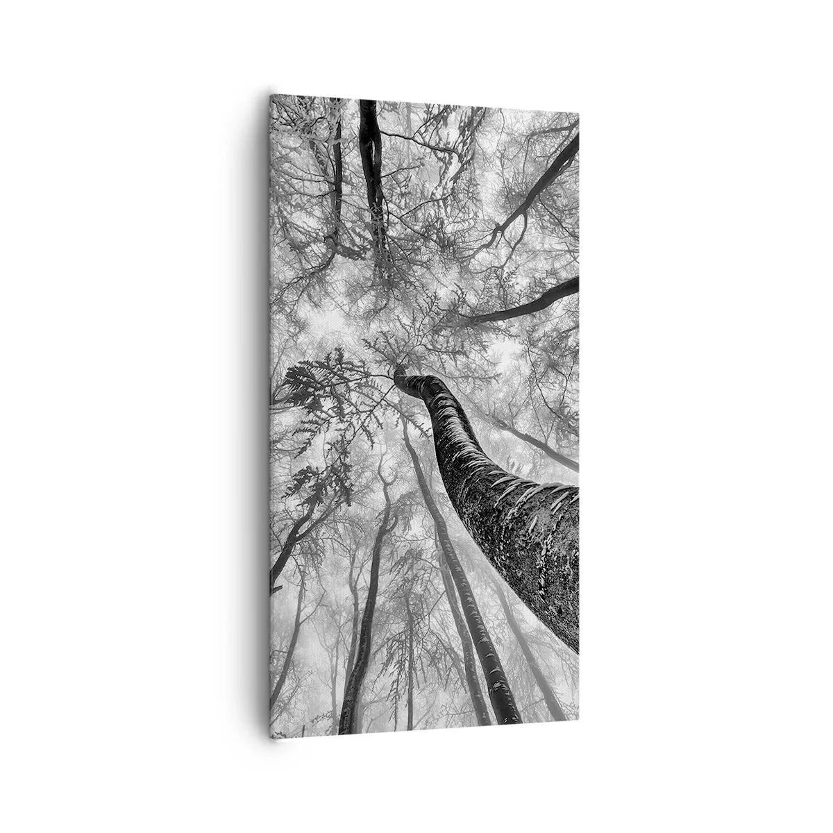 Quadro em tela - Corrida até a luz - 65x120 cm