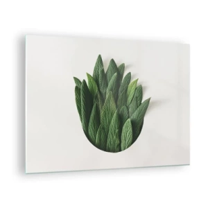 Quadro em vidro - Folhas verdes dispostas em forma de vaso sobre fundo branco - 70x50cm - Curiosidade indomável - Decoração de parede moderna para a sala de estar e quarto ARTTOR