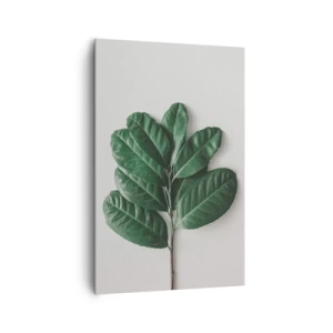 Quadro em tela - Desenho da própria natureza - 80x120 cm