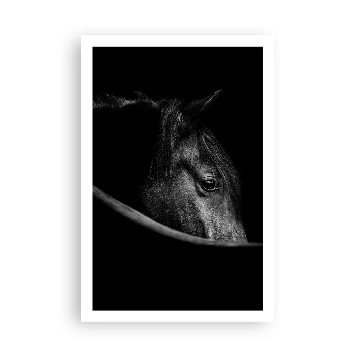 Pôster - Príncipe Negro - 61x91 cm