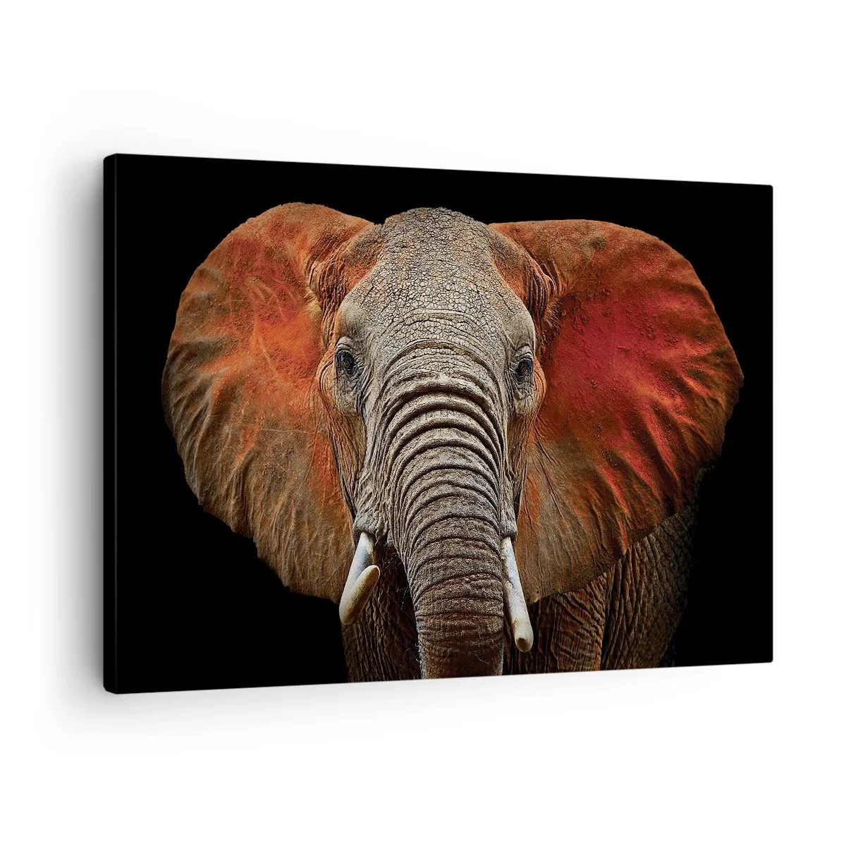 Quadro em tela - Retrato de um elefante em um fundo preto - 70x50cm - Eu sou selvagem, e você? - Decoração de parede moderna para a sala de estar e quarto ARTTOR
