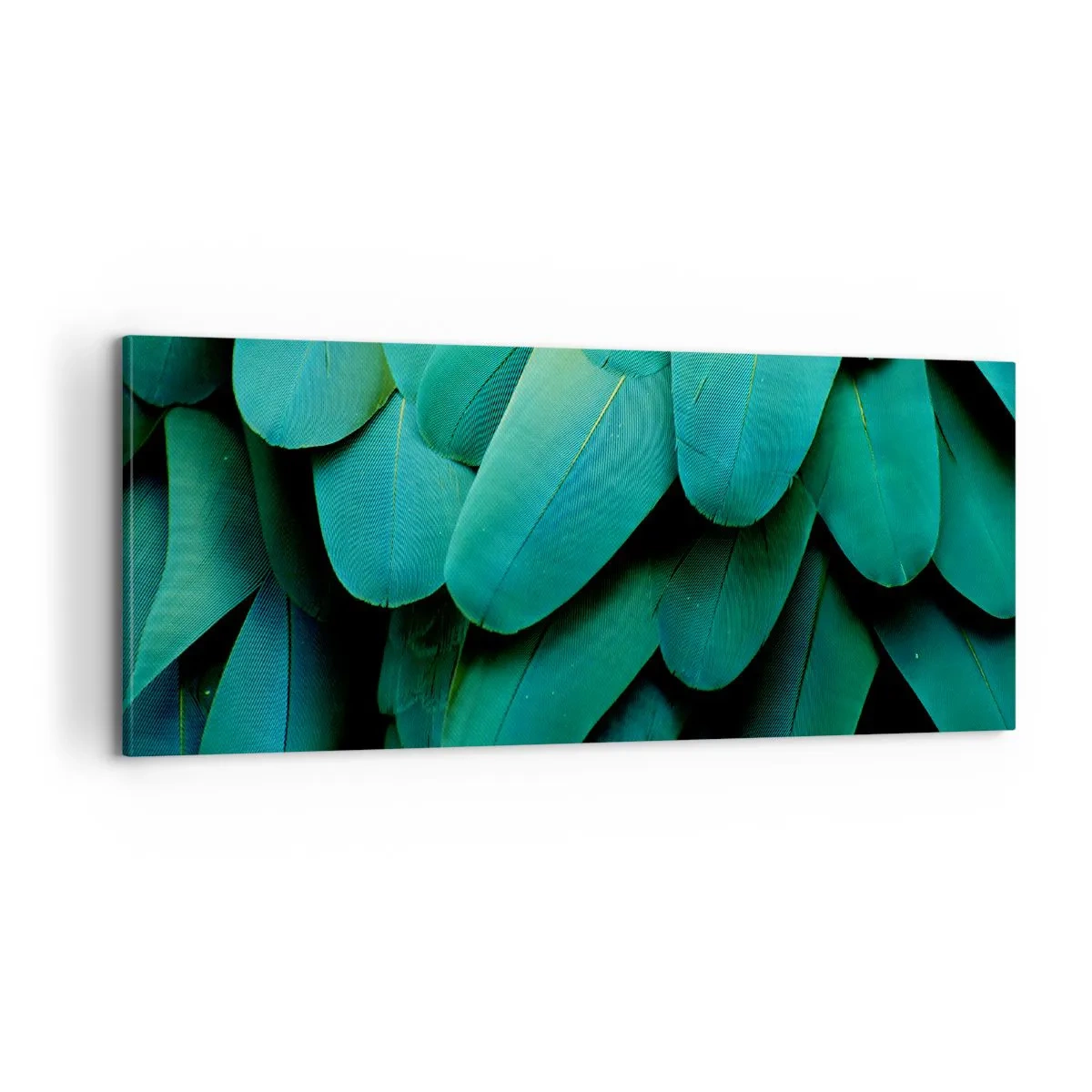 Quadro em tela - Precisão de papagaio - 100x40 cm