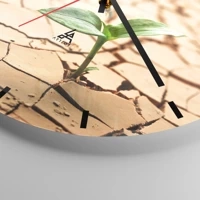 Mostrador com traços