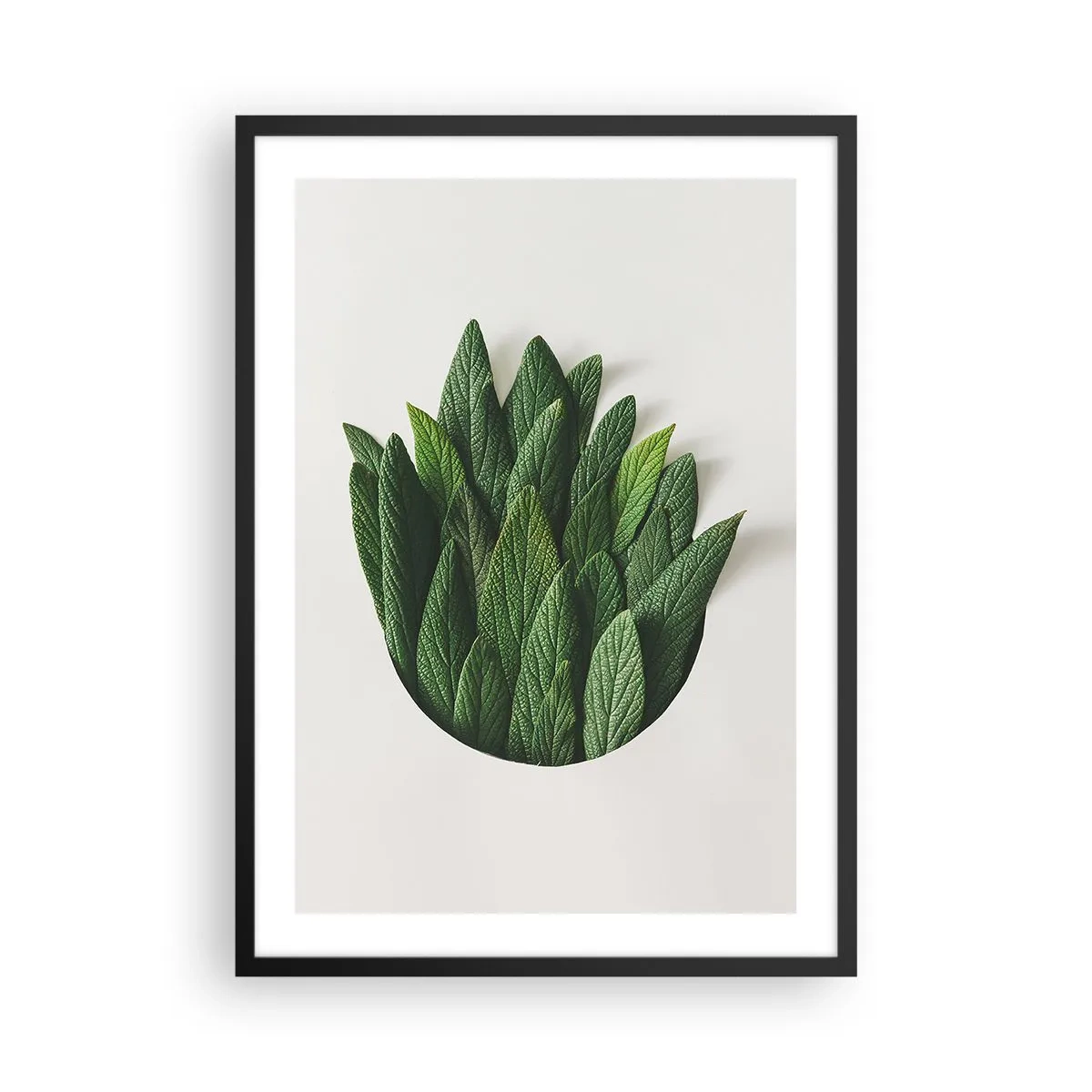 Pôster com moldura preta - Folhas em uma composição artística sobre fundo branco - 50x70cm - Curiosidade indomável - Decoração de parede moderna para a sala de estar e quarto ARTTOR