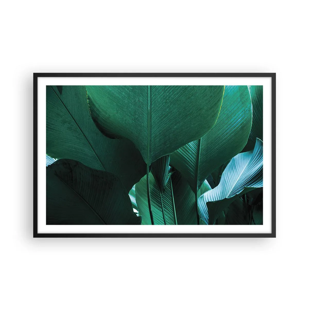 Pôster com moldura preta - De frente para a luz - 91x61 cm