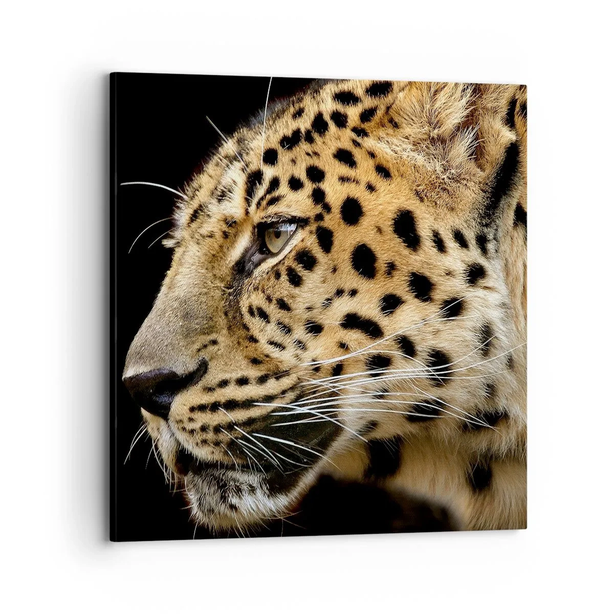 Quadro em tela - Calmo, focado, pronto - 70x70 cm