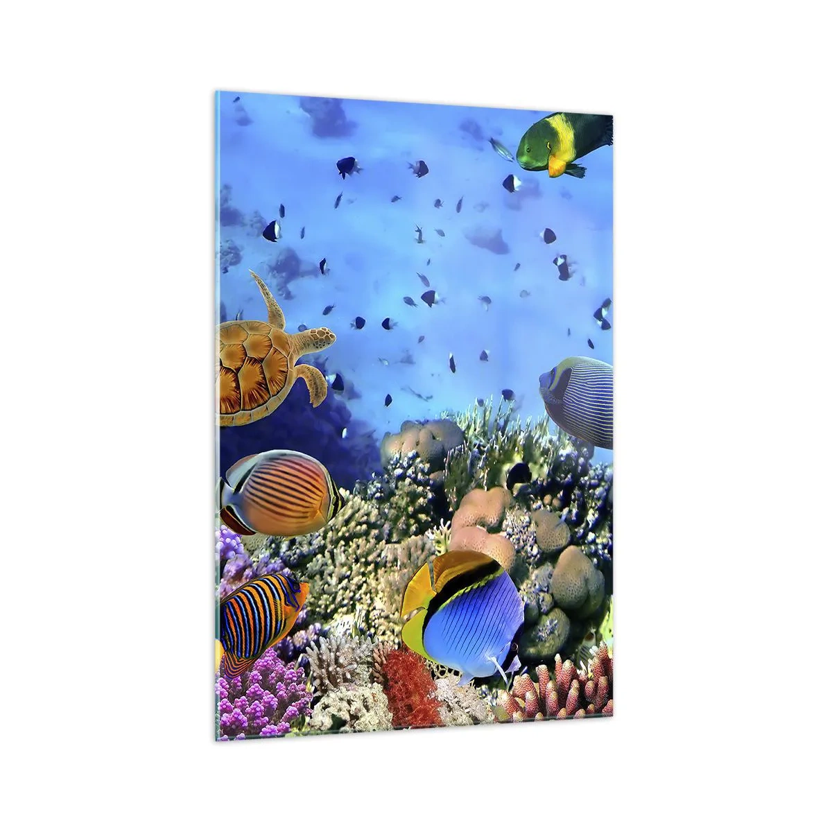 Quadro em vidro - E o que sabemos sobre a vida... - 70x100 cm