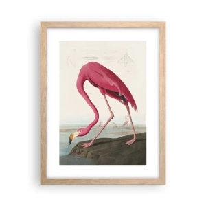 Pôster com moldura de carvalho claro - Uma criatura surpreendente - 30x40 cm