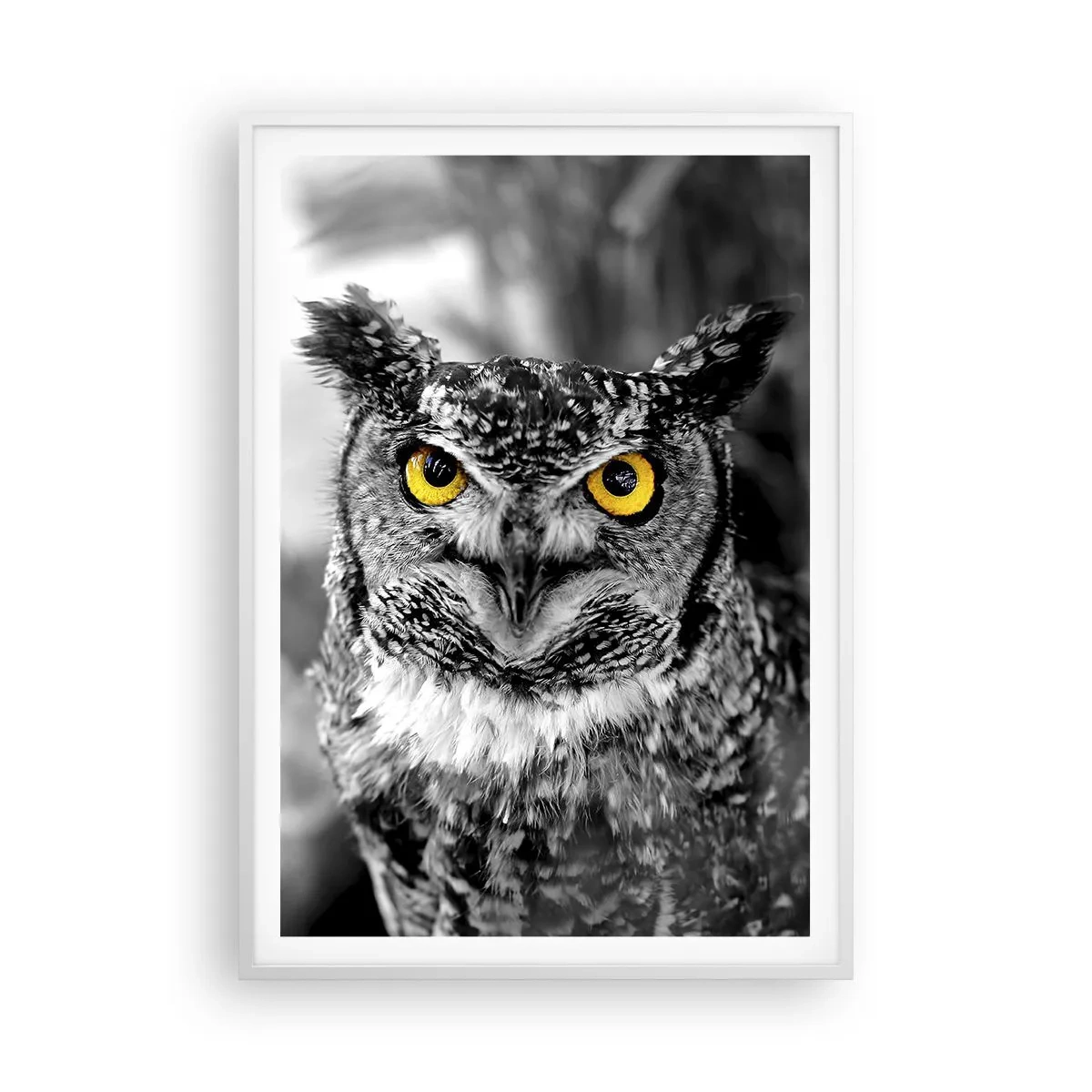 Pôster em moldura branca - Nada pode ser escondido - 70x100 cm