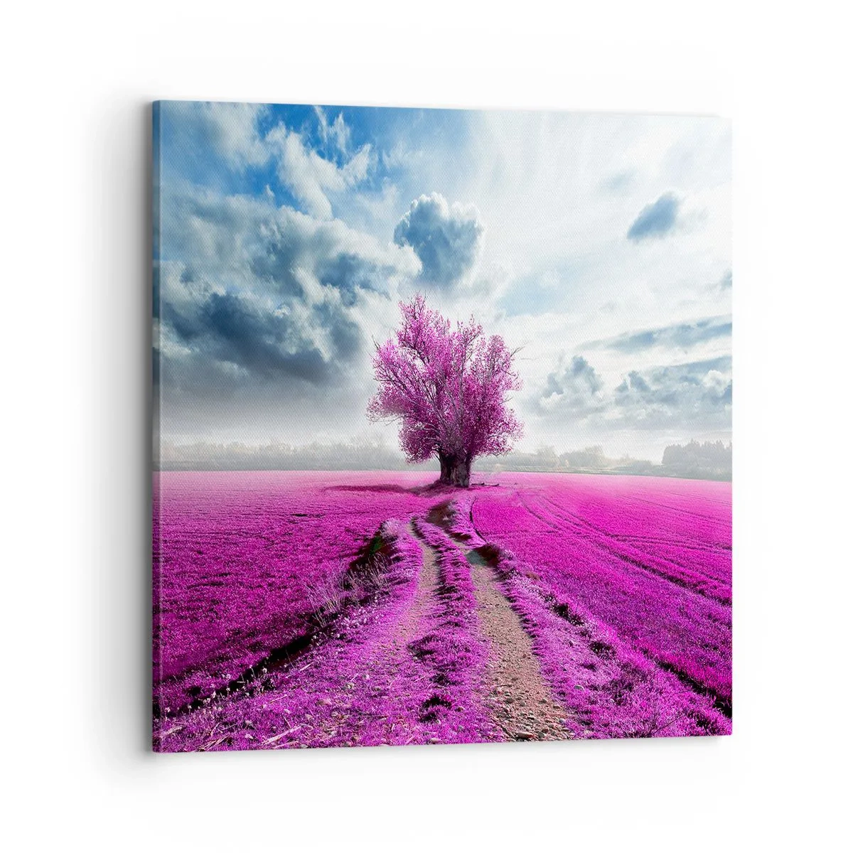Quadro em tela - Charmosa charneca - 70x70 cm