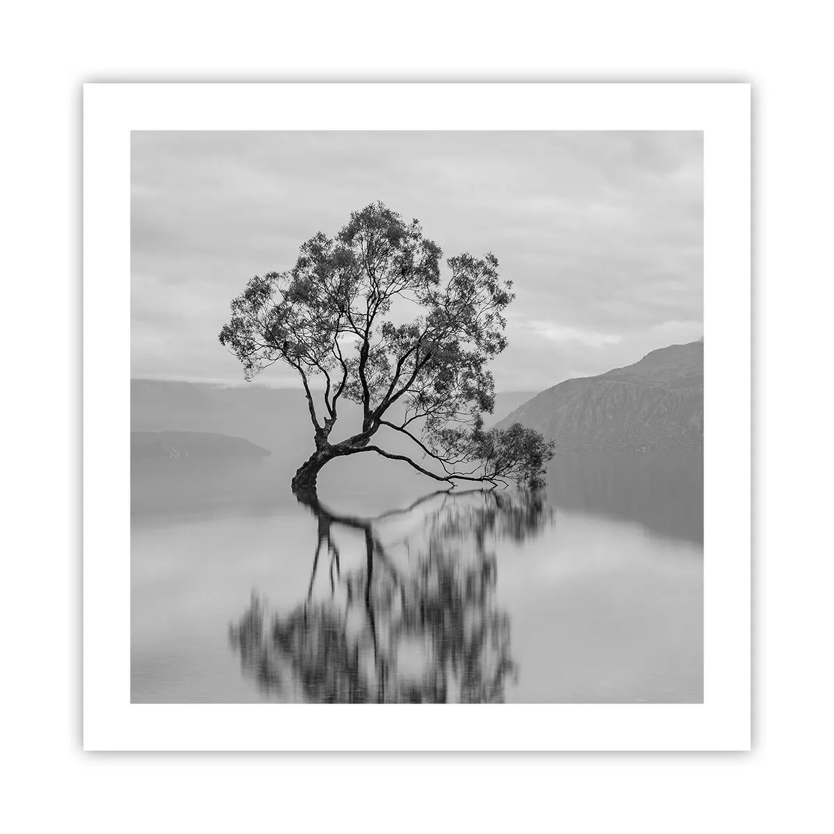 Pôster - Existe um país assim - 50x50 cm