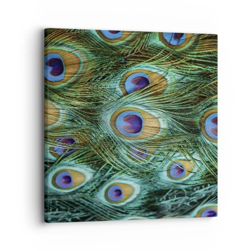 Quadro em tela - Um olhar de pavão - 30x30 cm