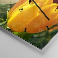 Mostrador com traços