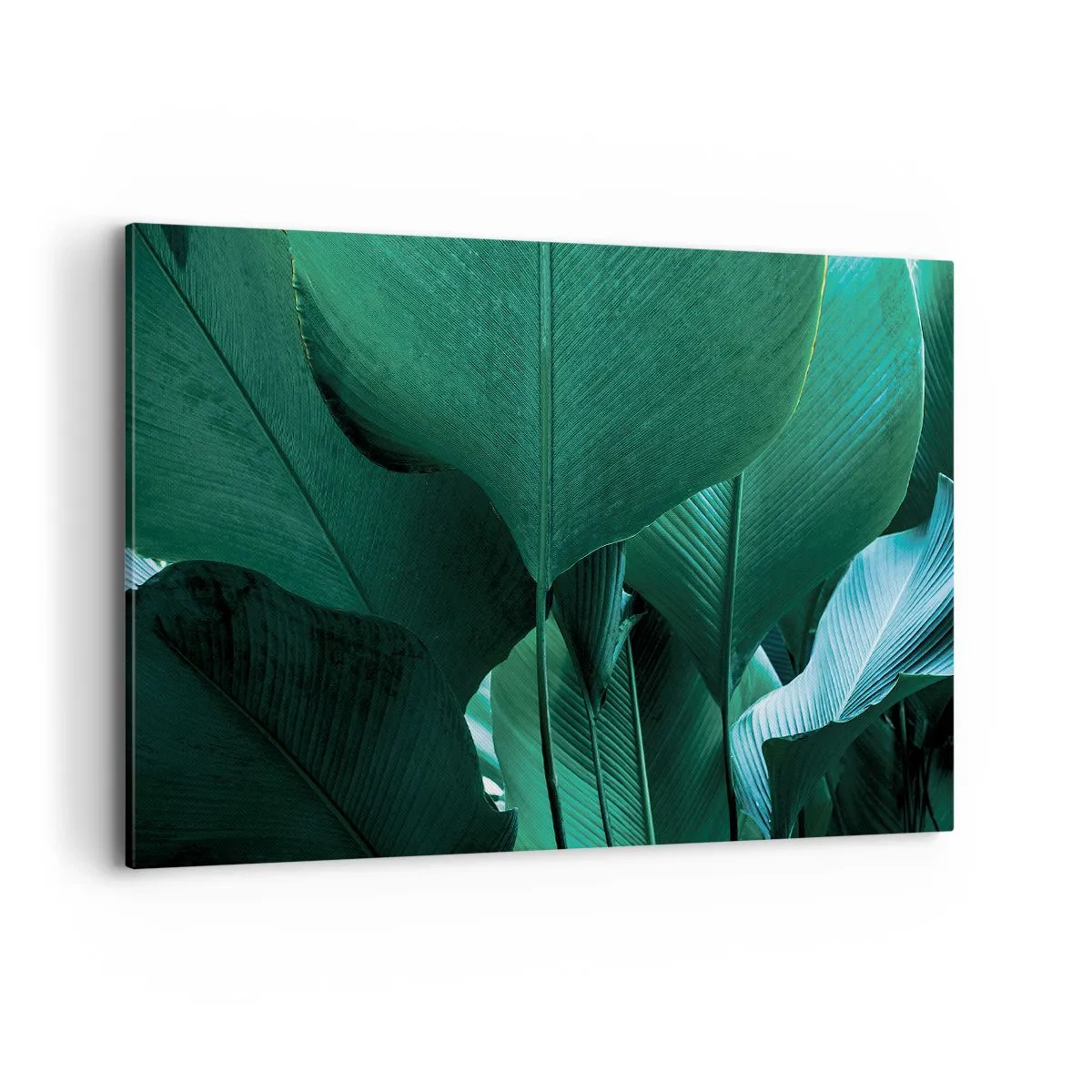 Quadro em tela - De frente para a luz - 120x80 cm