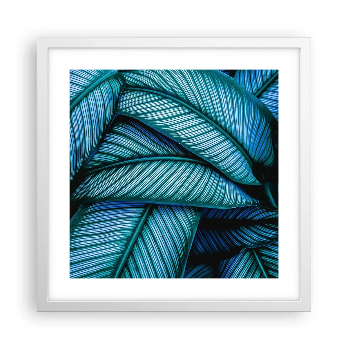 Pôster em moldura branca - Linhas de vida - 40x40 cm