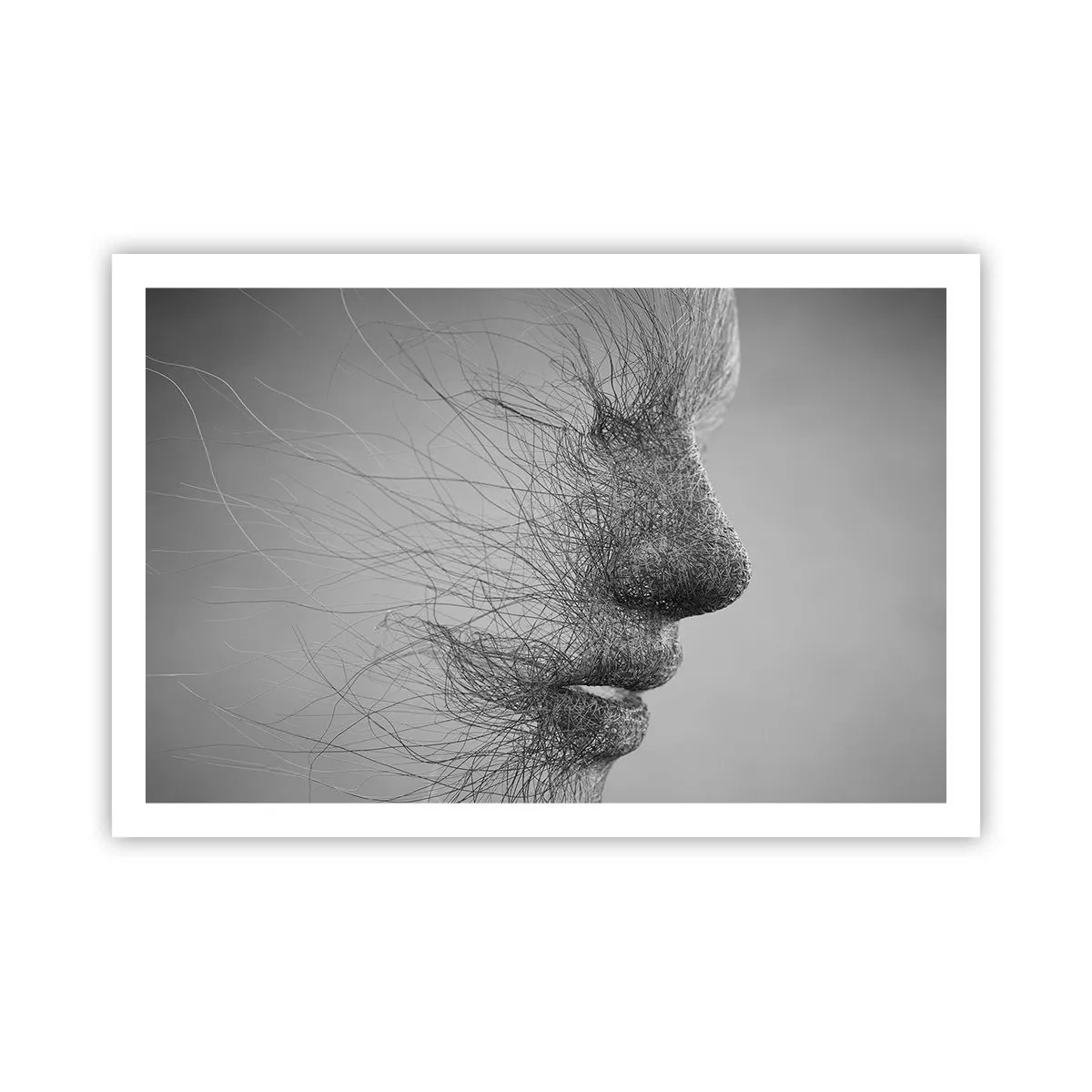 Pôster - Espírito do vento - 91x61 cm