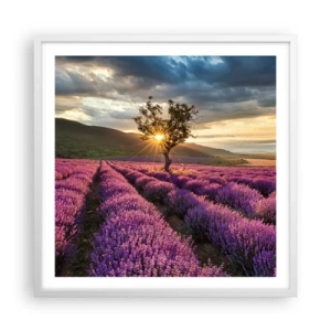 Pôster em moldura branca - Aroma lilás - 60x60 cm