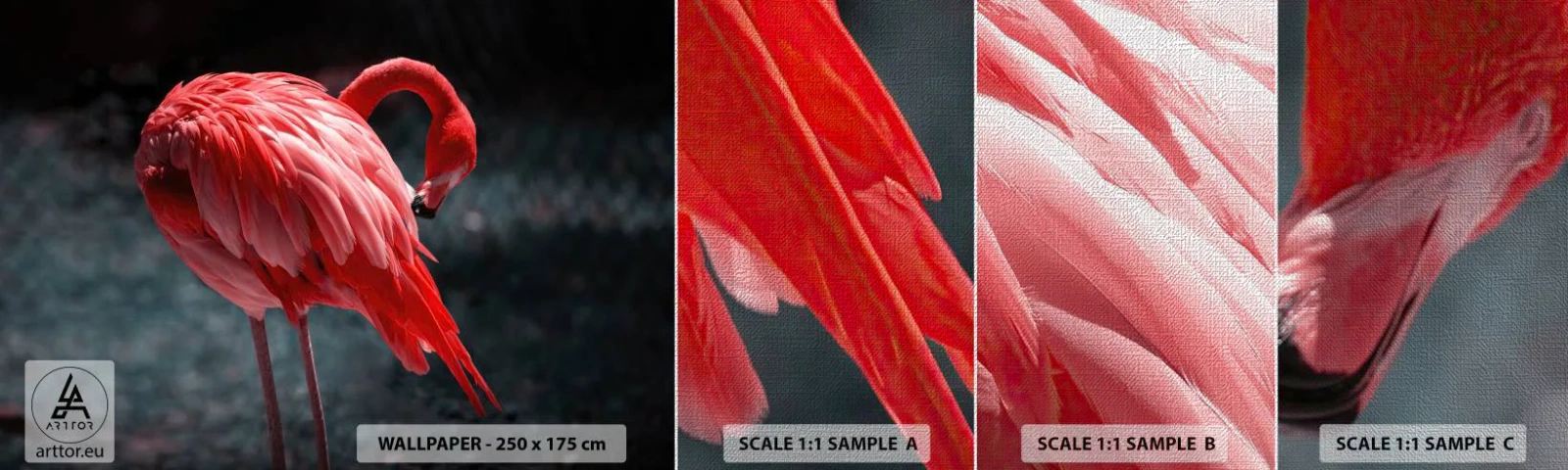 Amostra de papel de parede Premium Canvas - Poema carmesim da natureza - Flamingo, Pássaro, Natureza - 100x30 cm