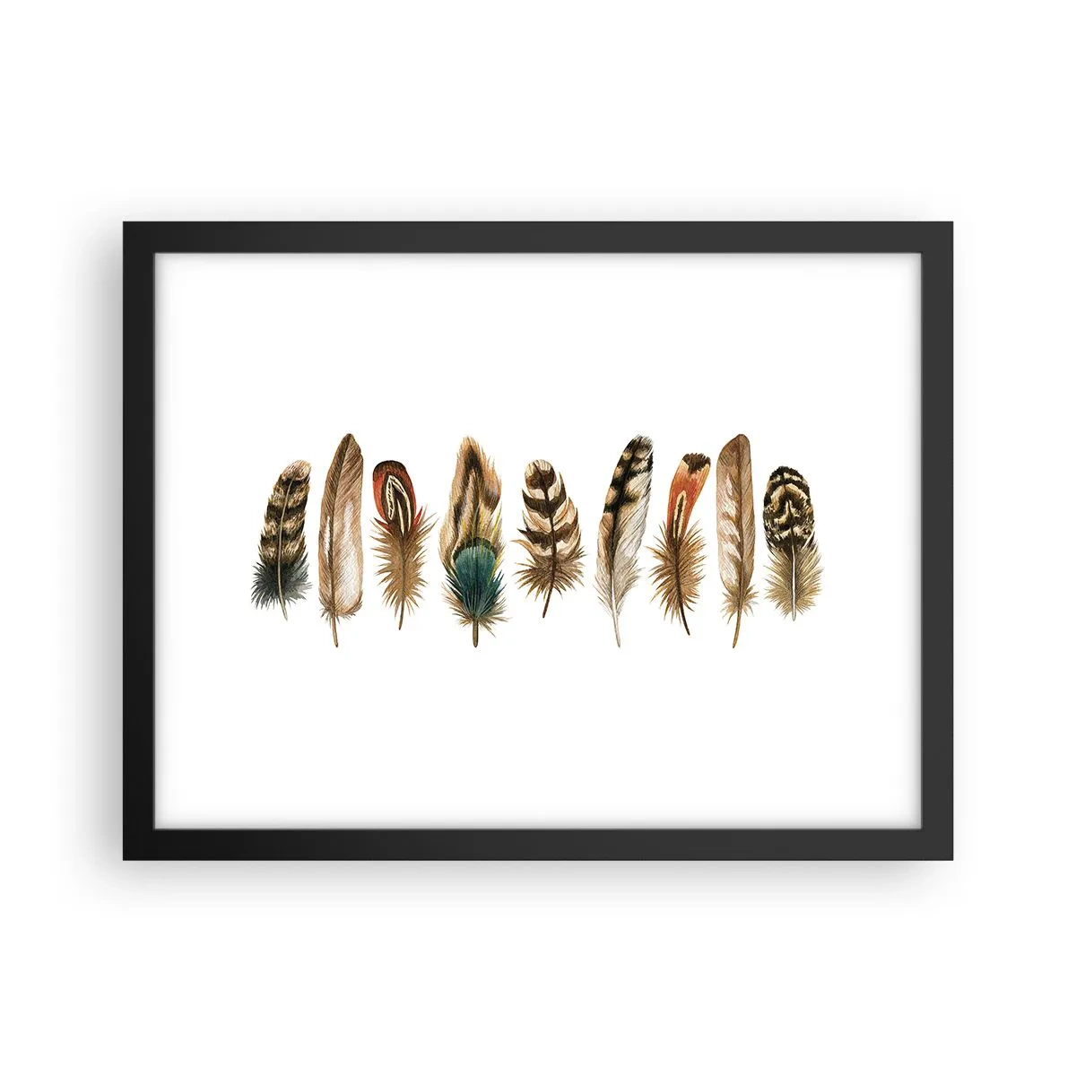 Pôster com moldura preta - Variações de penas - 40x30 cm
