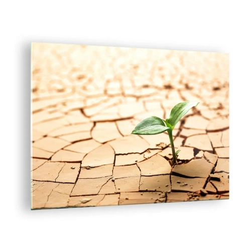 Quadro em vidro - Uma planta jovem crescendo em terra seca e rachada - 70x50cm - A força indomável da vida - Decoração de parede moderna para a sala de estar e quarto ARTTOR