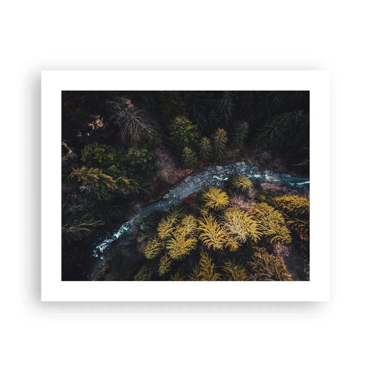 Pôster - Rápido e cada vez mais rápido - 50x40 cm