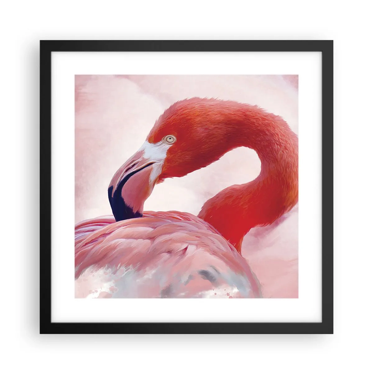 Pôster com moldura preta - Beleza das aves - 40x40 cm