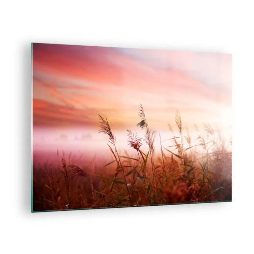 Quadro em vidro - Um prado na névoa da manhã com um céu pastel - 70x50cm - Papagaios, balões, vento - Decoração de parede moderna para a sala de estar e quarto ARTTOR