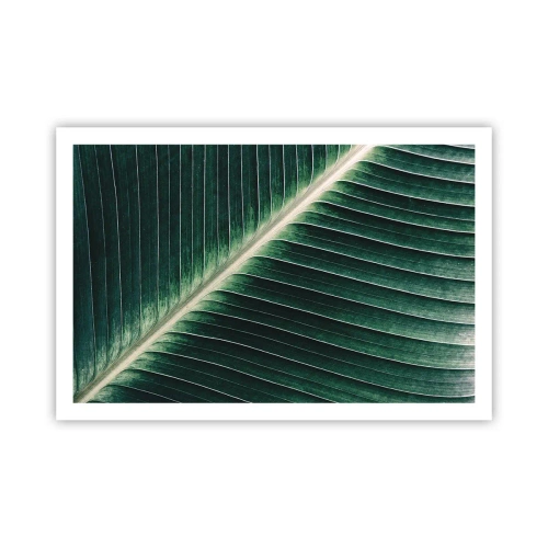 Pôster - O ritmo da natureza - 91x61 cm