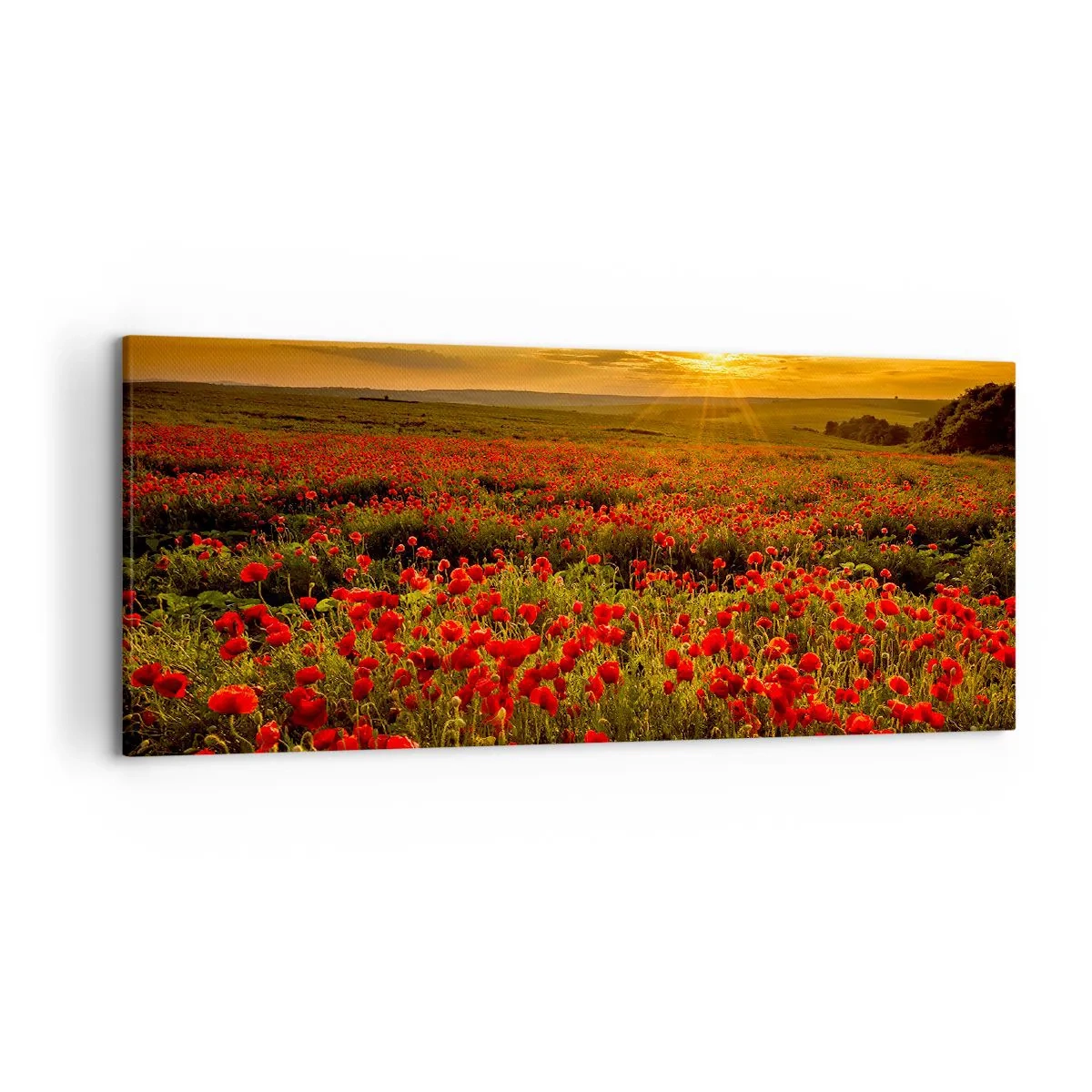 Quadro em tela - Entre o farfalhar da onda de prados, entre o dilúvio das flores - 120x50 cm