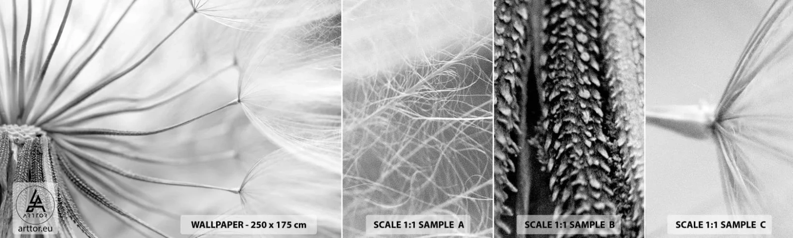 Amostra de Papel de Parede Standard Eco - Dentes de leão, pipas - Minimalismo, Delicado, Flor - 100x30 cm