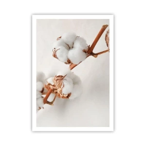 Pôster - Apenas acaricie - 70x100 cm