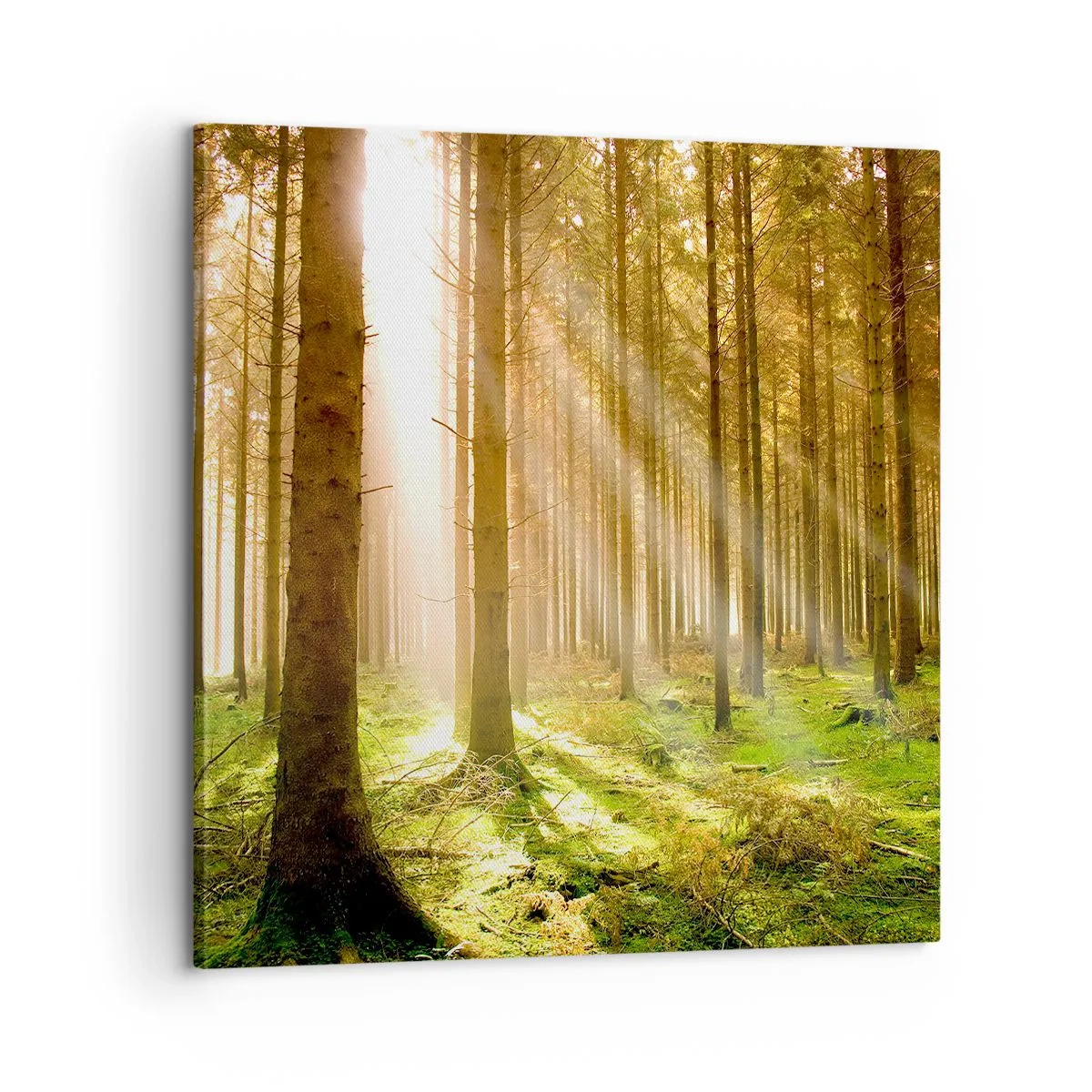 Quadro em tela - Os elfos estão prestes a aparecer - 60x60 cm