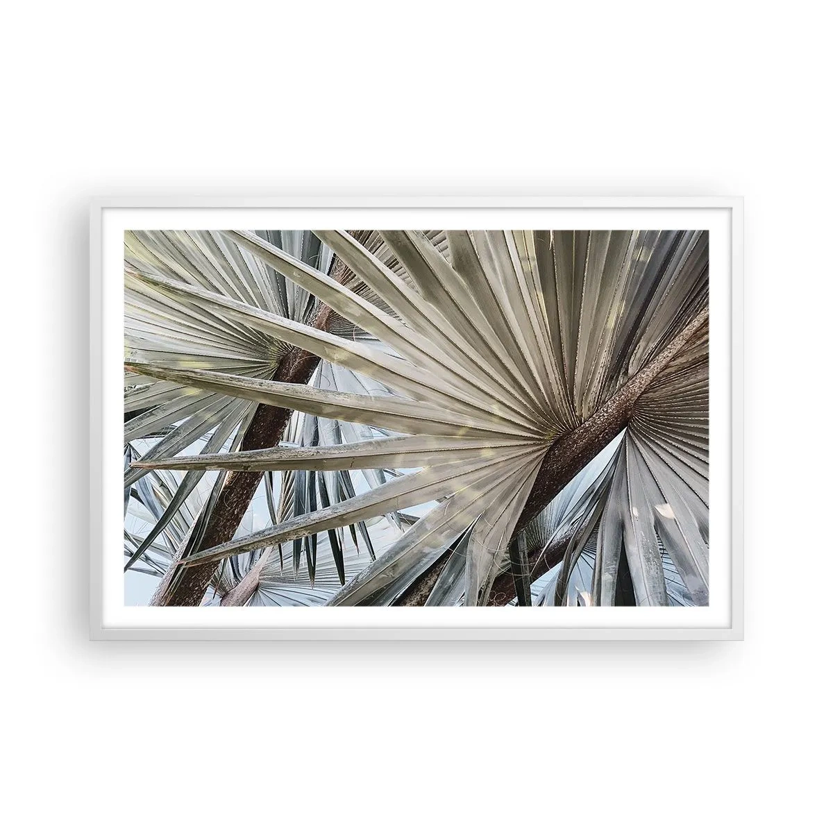 Pôster em moldura branca - Leques nos trópicos - 91x61 cm