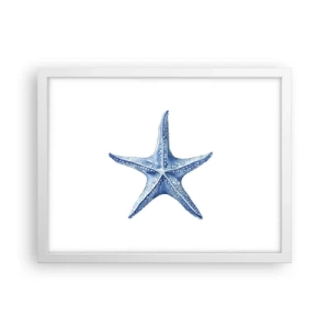 Pôster em moldura branca - Estrela do mar - 40x30 cm