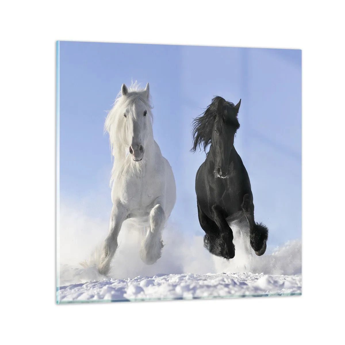 Quadro em vidro - Galope preto e branco - 70x70 cm