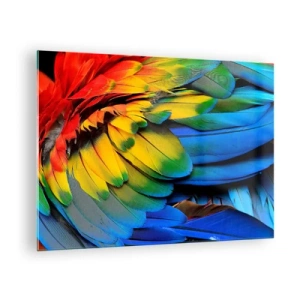 Quadro em vidro - Penas coloridas de papagaio em cores intensas do arco-íris - 70x50cm - Ave do paraíso - Decoração de parede moderna para a sala de estar e quarto ARTTOR