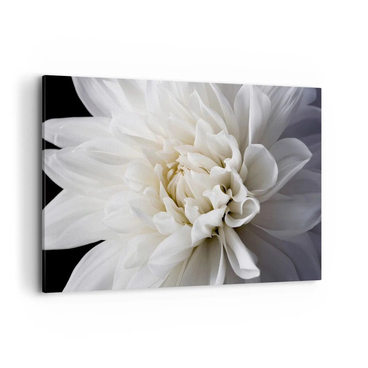 Quadro em tela - Manhã da noiva - 120x80 cm