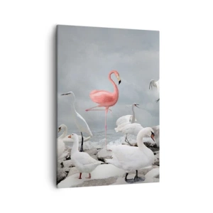 Quadro em tela - Como vim parar aqui? - 50x70 cm
