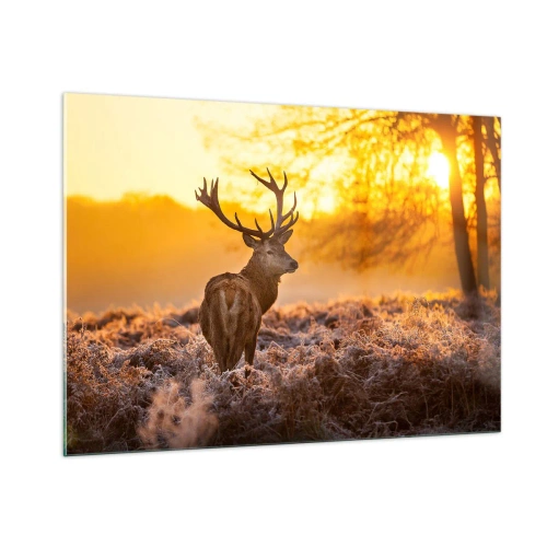 Quadro em vidro - Rei da floresta de outono - 100x70 cm