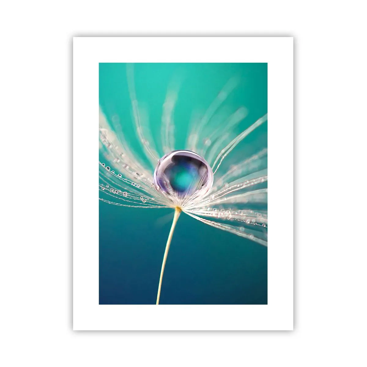 Pôster - Momento místico - 30x40 cm