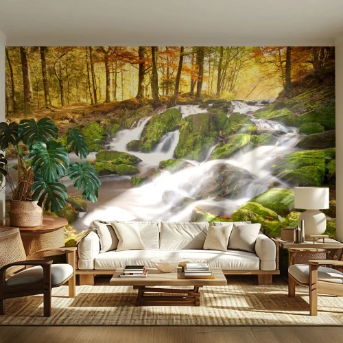 Papel de Parede Standard Eco - Pela floresta de outono - Paisagem, Floresta, córrego da montanha - 200x140 cm