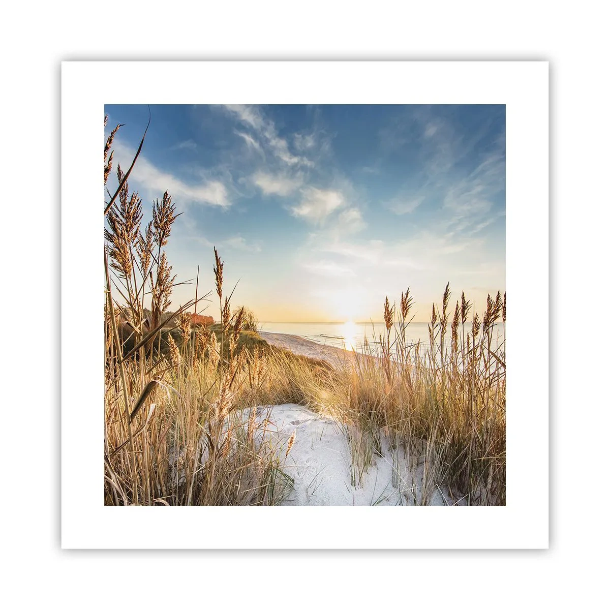 Pôster - Praia do Norte - 40x40 cm