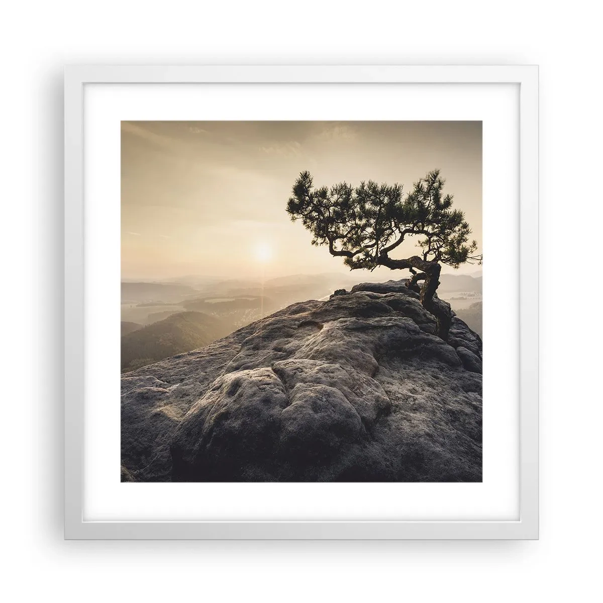 Pôster em moldura branca - A vida ganha sempre - 40x40 cm