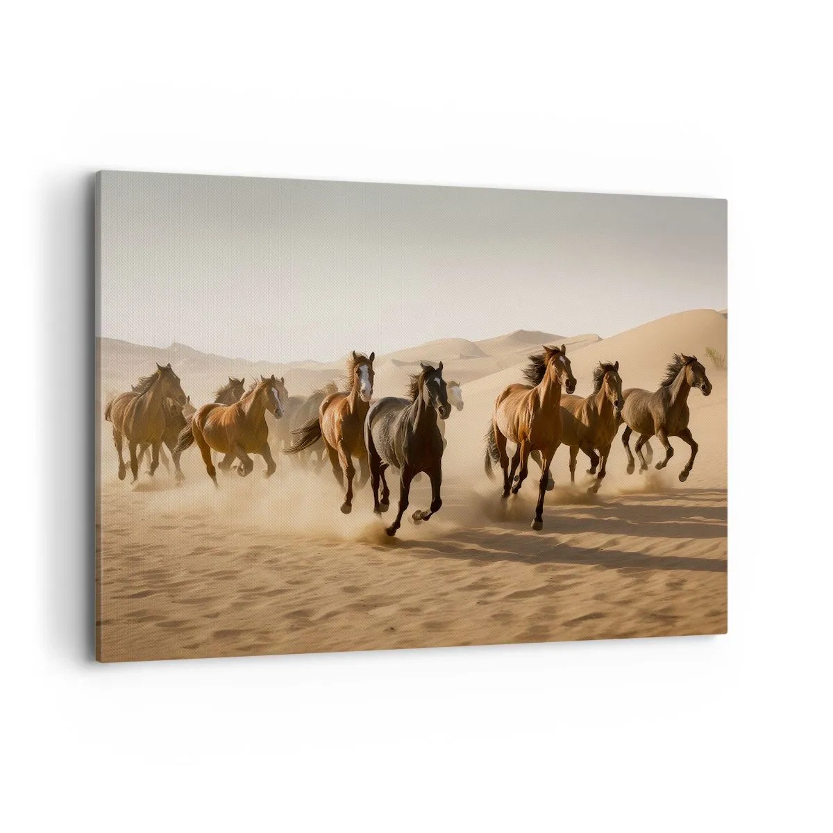 Quadro em tela - Livre como o vento - 100x70 cm