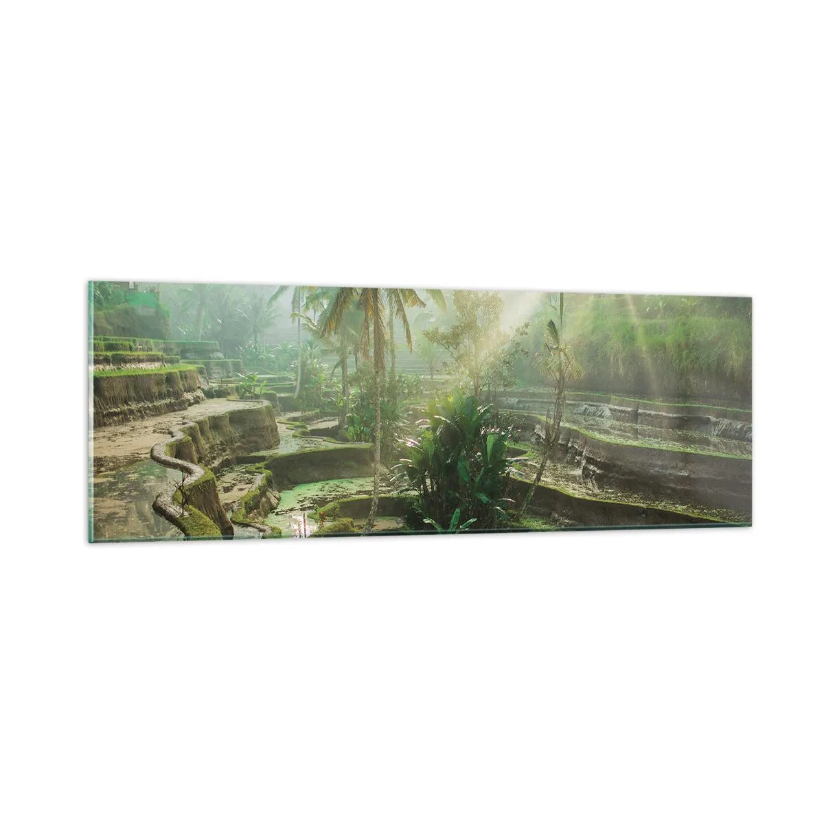 Quadro em vidro - Crescer ao sol - 90x30 cm